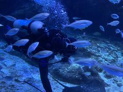 -海合安武汉极地海洋公园