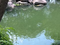 -天一阁博物院
