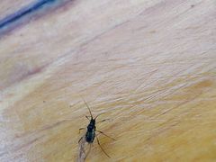 -泰顺江南春面馆