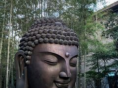 -杭州植物园