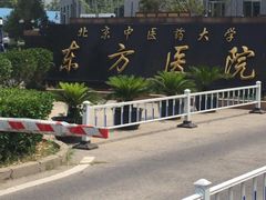 -北京中医药大学东方医院(方庄院区)