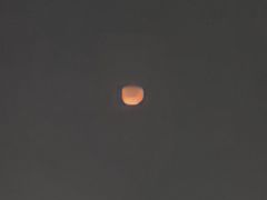 -苏州市南环实验小学附属幼儿园