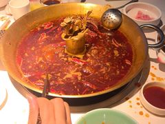 -小龙翻大江文化火锅(宽窄店)
