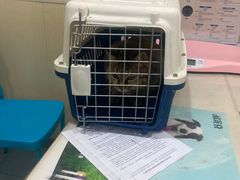 -佳怡动物医院·平价24小时·猫专科骨外科