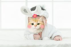-小熊维尼高端儿童摄影(宝安旗舰店)