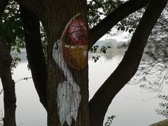 -东湖落雁景区