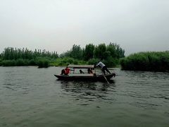 -白洋淀景区