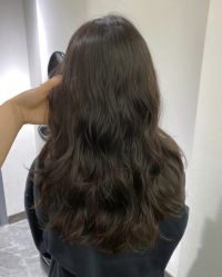 -环球蝶上美业连锁