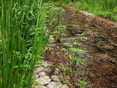 -白水寺森林公园
