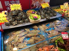 -必点海鲜·鲅鱼水饺(鞍山西道店)