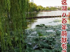 -济南大明湖景区