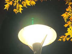 -泰州凤城河风景区-泰山公园