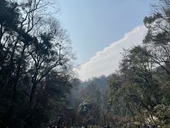 -岳麓山风景名胜区