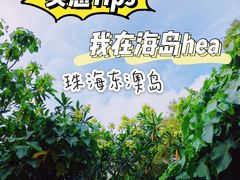 -东澳岛