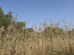 -处女泉风景名胜区