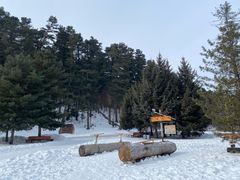 -五营国家森林公园