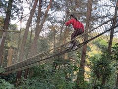 -芦仙山景区-飞越丛林探险乐园