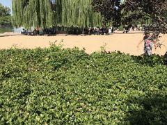 -大兴滨河森林公园