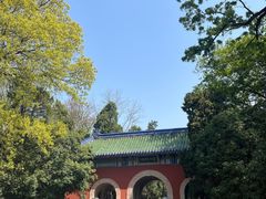 -灵谷景区