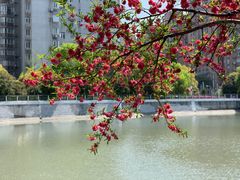 -苏州河梦清园环保主题公园