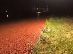 -滨湖塘西河公园