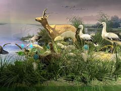 -湖南省地质博物馆