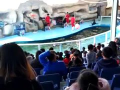 -泉州海丝野生动物世界