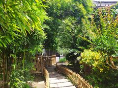 -绍兴鲁迅故里·沈园景区