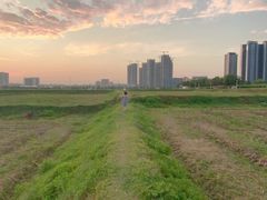 -光明小镇欢乐田园