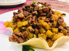 -欢乐海岸美食联盟