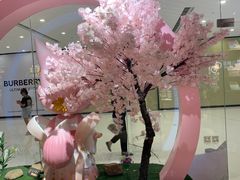 -九木杂物社(恒隆广场店)