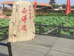 -白洋淀景区