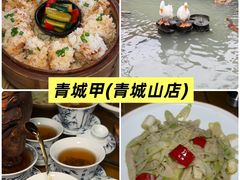 -青城甲(青城山店)