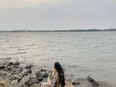 -丁香湖公园