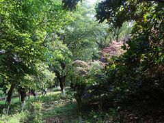 -重庆平顶山公园