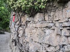-清江方山景区