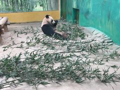 -杭州野生动物世界