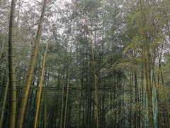 -陶祖圣境风景区