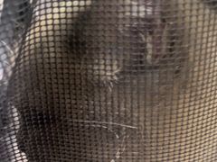 -瑞鹏宠物医院·夜间急症·心超·猫科(祖庙分店)