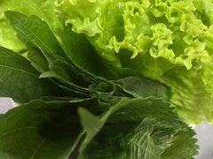 -郭记烤肉(正阳街店)