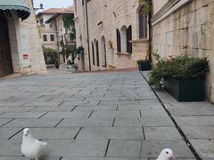 -华谊兄弟（长沙）电影小镇