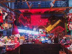 -電力宠物公司(武定路店)