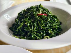苦苦菜-同心春餐饮(富宁街店)