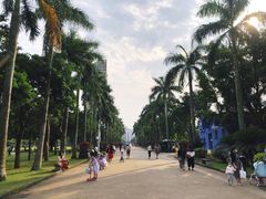 -万绿园