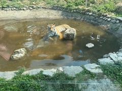 -西安秦岭野生动物园