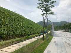 -白石龙音乐公园