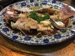 -海王老记