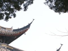 -西园戒幢律寺