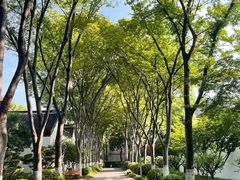 -南京中国近代史遗址博物馆(南京总统府)