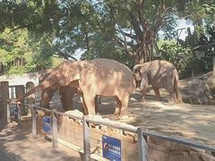-深圳野生动物园